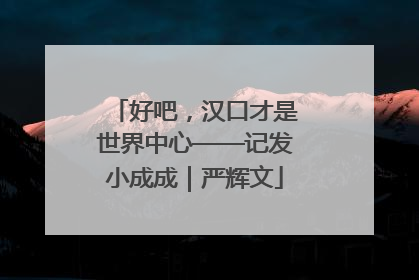 好吧，汉口才是世界中心——记发小成成｜严辉文