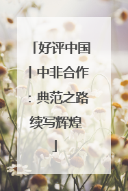 好评中国丨中非合作：典范之路 续写辉煌