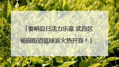 奏响夏日活力乐章 武昌区杨园街道篮球赛火热开赛！