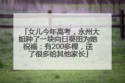 女儿今年高考，永州大姐种了一块向日葵田为她祝福：有200多棵，送了很多给其他家长