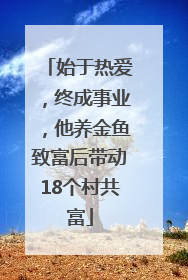 始于热爱，终成事业，他养金鱼致富后带动18个村共富