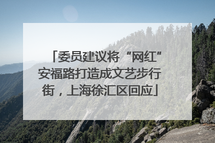 委员建议将“网红”安福路打造成文艺步行街，上海徐汇区回应