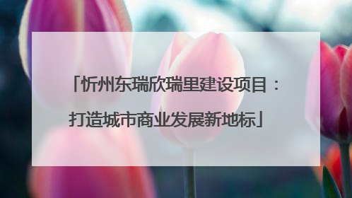 忻州东瑞欣瑞里建设项目：打造城市商业发展新地标