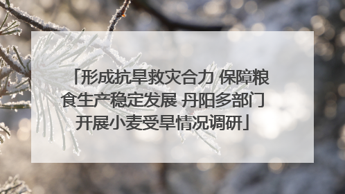 形成抗旱救灾合力 保障粮食生产稳定发展 丹阳多部门开展小麦受旱情况调研