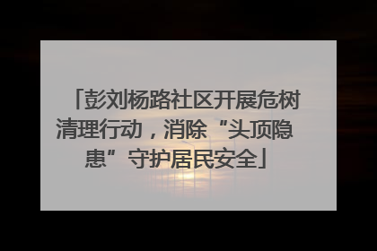 彭刘杨路社区开展危树清理行动，消除“头顶隐患”守护居民安全