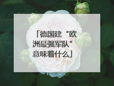 德国建“欧洲最强军队”意味着什么