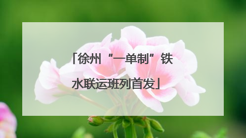 徐州“一单制”铁水联运班列首发