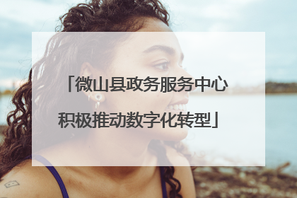 微山县政务服务中心积极推动数字化转型