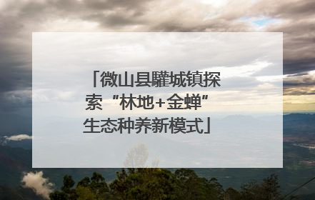 微山县驩城镇探索“林地+金蝉”生态种养新模式