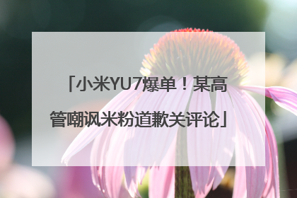 小米YU7爆单！某高管嘲讽米粉道歉关评论