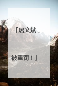 屠文斌，被重罚！