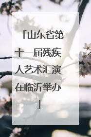 山东省第十一届残疾人艺术汇演在临沂举办