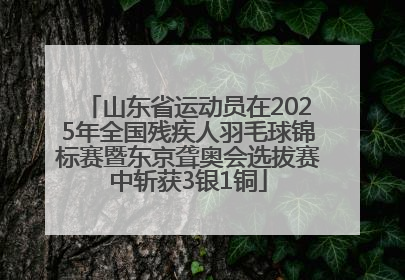 山东省运动员在2025年全国残疾人羽毛球锦标赛暨东京聋奥会选拔赛中斩获3银1铜