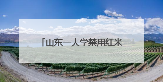 山东一大学禁用红米手机考试，小米王化回应：并非学校要求