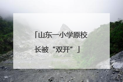 山东一小学原校长被“双开”