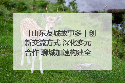 山东友城故事多｜创新交流方式 深化多元合作 聊城加速构建全球友城新格局