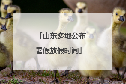 山东多地公布暑假放假时间