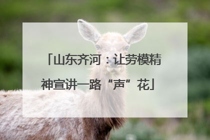 山东齐河：让劳模精神宣讲一路“声”花