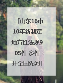 山东16市10年新制定地方性法规905件 多件开全国先河