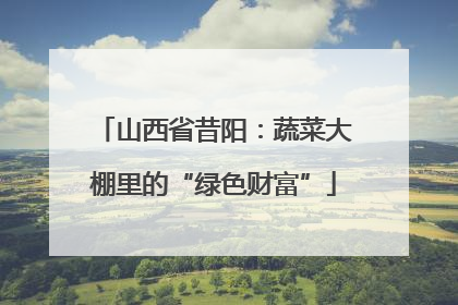 山西省昔阳：蔬菜大棚里的“绿色财富”