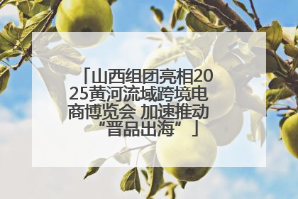 山西组团亮相2025黄河流域跨境电商博览会 加速推动“晋品出海”
