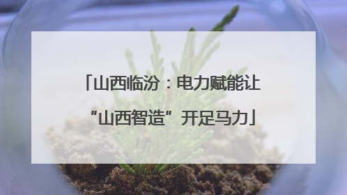 山西临汾：电力赋能让“山西智造”开足马力