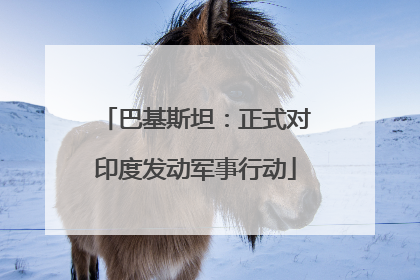巴基斯坦：正式对印度发动军事行动