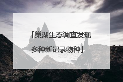 巢湖生态调查发现多种新记录物种
