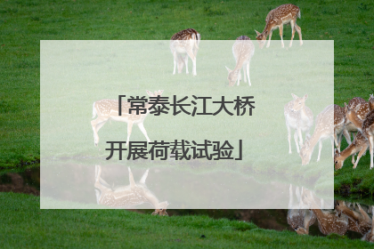 常泰长江大桥开展荷载试验