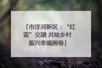 市洋河新区：“红蓝”交融 共绘乡村振兴幸福画卷