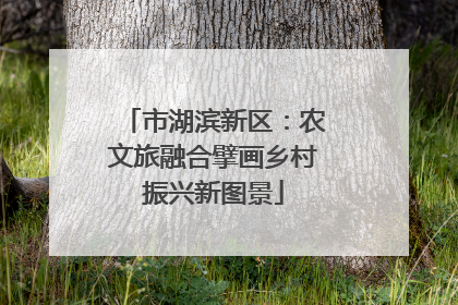 市湖滨新区：农文旅融合擘画乡村振兴新图景