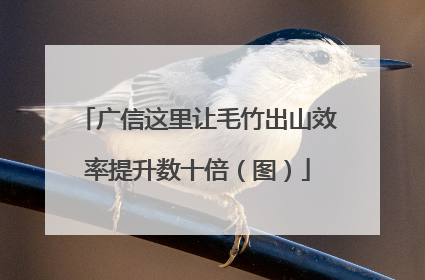 广信这里让毛竹出山效率提升数十倍（图）