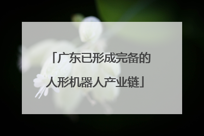 广东已形成完备的人形机器人产业链