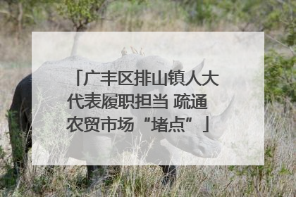 广丰区排山镇人大代表履职担当 疏通农贸市场“堵点”