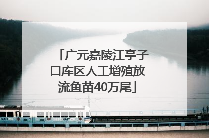 广元嘉陵江亭子口库区人工增殖放流鱼苗40万尾