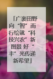 广袤田野向“智”而行绘就“科技兴农”新图景 好“丰”光传递新希望