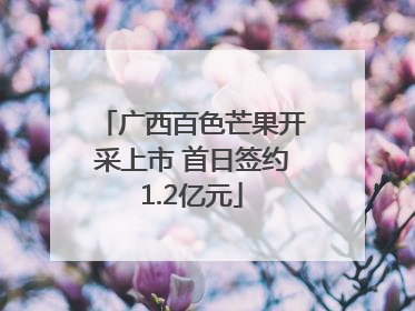 广西百色芒果开采上市 首日签约1.2亿元
