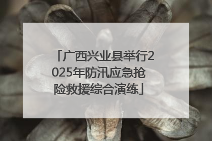广西兴业县举行2025年防汛应急抢险救援综合演练