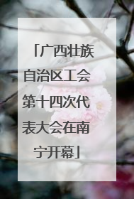 广西壮族自治区工会第十四次代表大会在南宁开幕