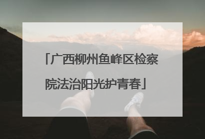 广西柳州鱼峰区检察院法治阳光护青春