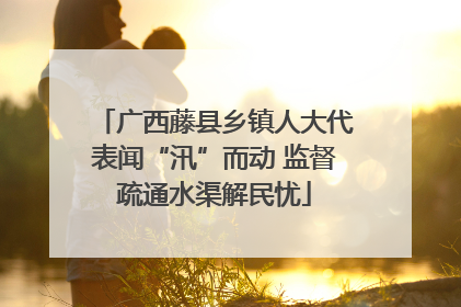 广西藤县乡镇人大代表闻“汛”而动 监督疏通水渠解民忧