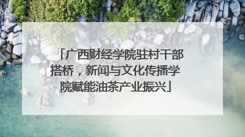 广西财经学院驻村干部搭桥，新闻与文化传播学院赋能油茶产业振兴
