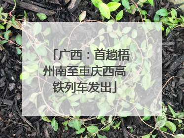 广西：首趟梧州南至重庆西高铁列车发出