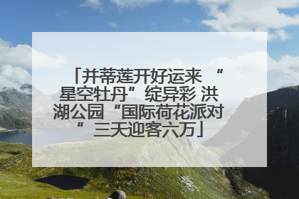 并蒂莲开好运来 “星空牡丹”绽异彩 洪湖公园“国际荷花派对”三天迎客六万