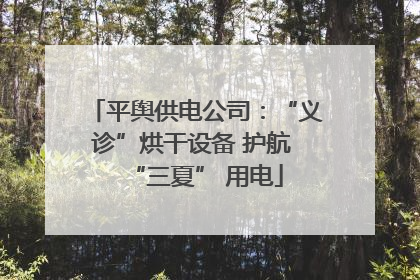 平舆供电公司：“义诊”烘干设备 护航 “三夏” 用电