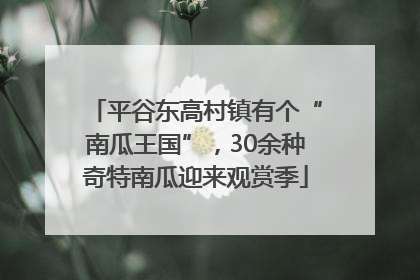 平谷东高村镇有个“南瓜王国”，30余种奇特南瓜迎来观赏季