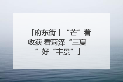 府东街丨“芒”着收获 看菏泽“三夏”好“丰景”