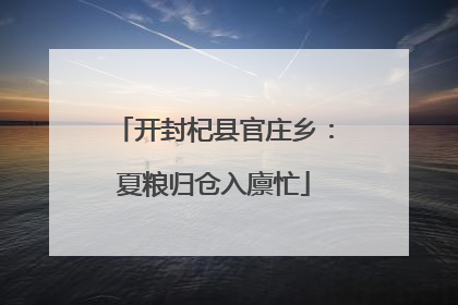 开封杞县官庄乡：夏粮归仓入廪忙