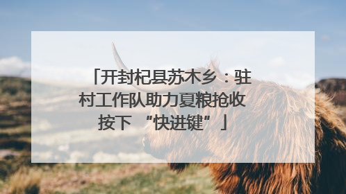 开封杞县苏木乡：驻村工作队助力夏粮抢收按下 “快进键”