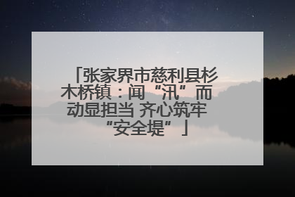 张家界市慈利县杉木桥镇：闻“汛”而动显担当 齐心筑牢“安全堤”